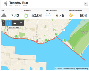 Fabulous run to Bull Island